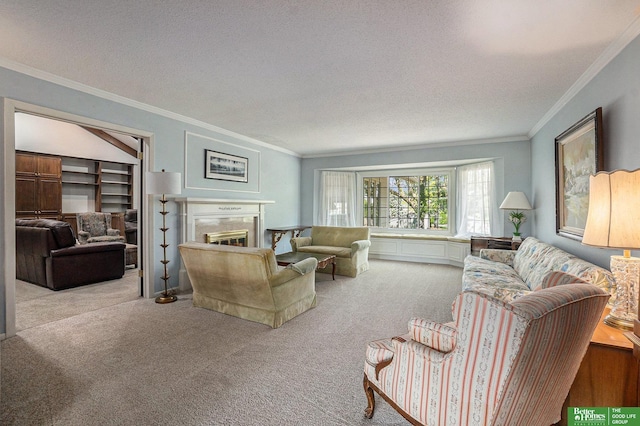 1729 S 76th Ave, Omaha, NE 68124 - living area with carpet flooring, crown molding, a premium fireplace, and a textured ceiling