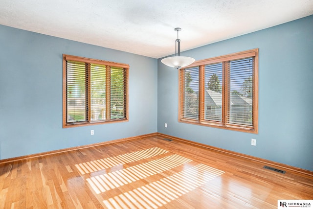 4209 N 158th Ave, Omaha, NE 68116 - spare room featuring healthy amount of natural light and wood finished floors