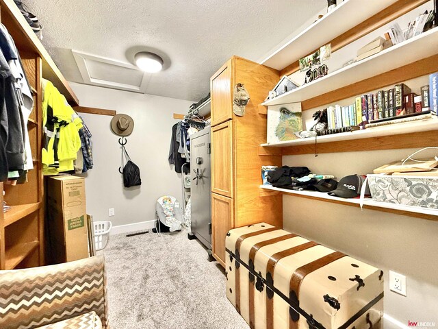 26855 SW 89th Rd, Beatrice, NE 68310 - walk in closet featuring attic access and carpet