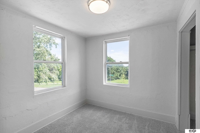 3102 Woolworth Ave, Omaha, NE 68105 - empty room featuring healthy amount of natural light, carpet, and a textured wall