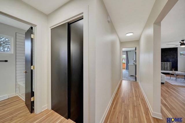 1991 Calvert St, Lincoln, NE 68502 - corridor featuring light wood-type flooring and plenty of natural light