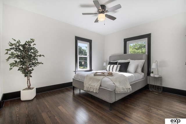 3814 Marcy St, Omaha, NE 68105 - bedroom featuring multiple windows, wood finished floors, and a ceiling fan