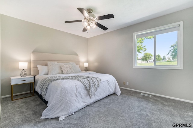4005 N 213th Cir, Omaha, NE 68022 - bedroom with carpet floors and ceiling fan