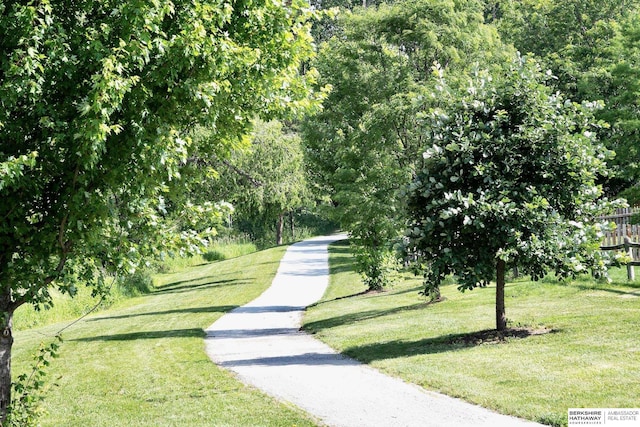 21305 Mcclellan Cir, Gretna, NE 68028 - surrounding community featuring driveway