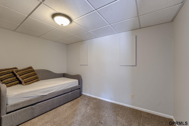 1524 Trumball Ter, Plattsmouth, NE 68048 - bedroom with a drop ceiling and carpet floors