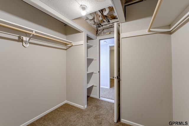 1524 Trumball Ter, Plattsmouth, NE 68048 - spacious closet featuring carpet floors