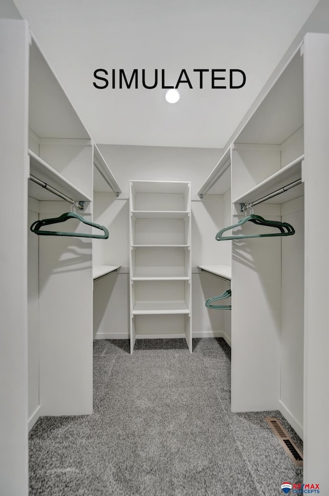 527 N 108th St, Lincoln, NE 68527 - spacious closet with carpet flooring