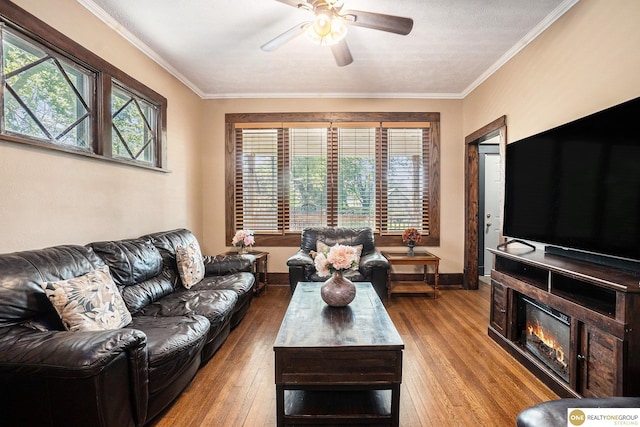 4615 N 28th Ave, Omaha, NE 68111 - living room featuring wood finished floors, a ceiling fan, crown molding, and a glass covered fireplace
