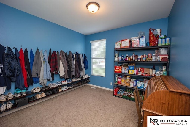 15929 Rosewater Pkwy, Bennington, NE 68007 - spacious closet featuring carpet