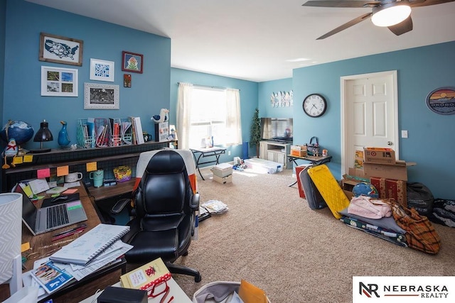 15929 Rosewater Pkwy, Bennington, NE 68007 - carpeted office space with ceiling fan