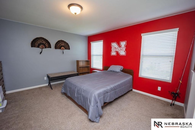 15929 Rosewater Pkwy, Bennington, NE 68007 - bedroom with carpet floors and baseboards