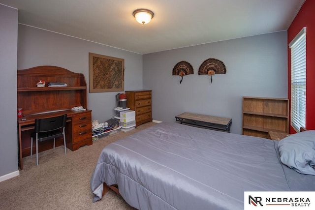 15929 Rosewater Pkwy, Bennington, NE 68007 - carpeted bedroom with a desk