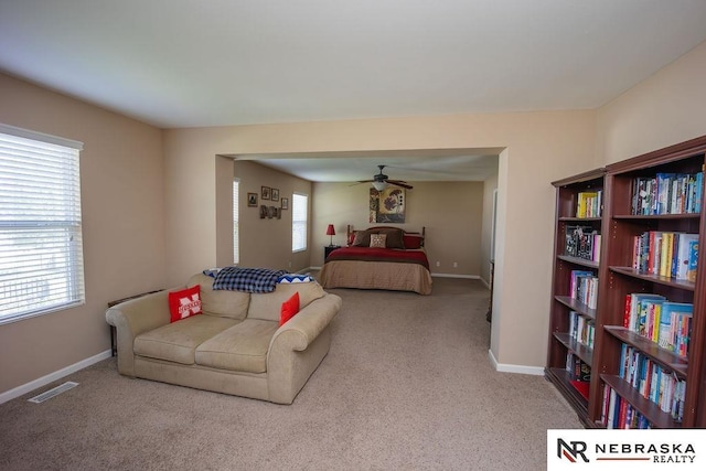 15929 Rosewater Pkwy, Bennington, NE 68007 - carpeted bedroom featuring multiple windows