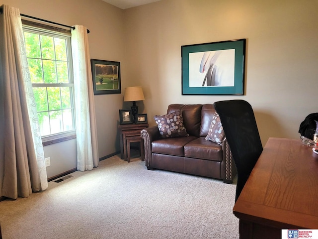 2364 N Columbia Ave, Seward, NE 68434 - carpeted living room with healthy amount of natural light