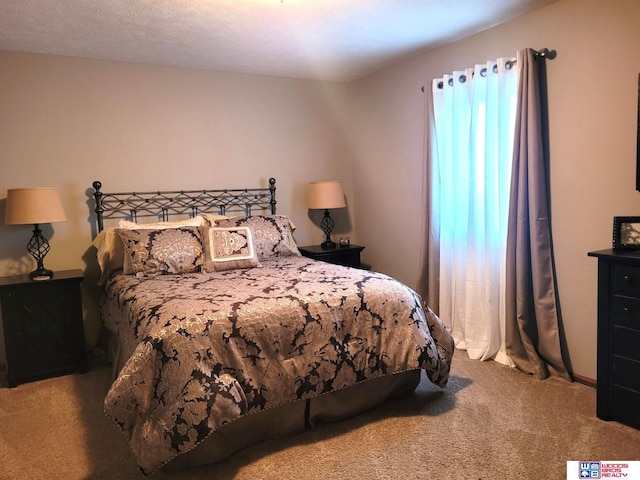 2364 N Columbia Ave, Seward, NE 68434 - view of carpeted bedroom