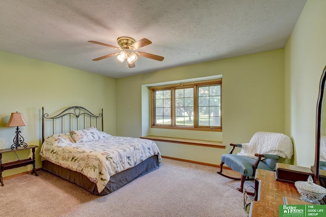 21900 Angus Rd, Gretna, NE 68028 - bedroom with carpet flooring, a ceiling fan, and a textured ceiling