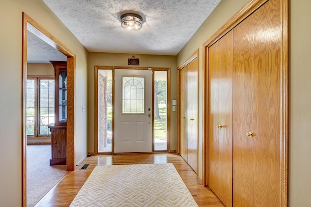 21900 Angus Rd, Gretna, NE 68028 - foyer featuring a textured ceiling and light wood finished floors