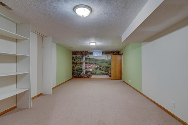 21900 Angus Rd, Gretna, NE 68028 - finished below grade area featuring a textured ceiling and carpet flooring