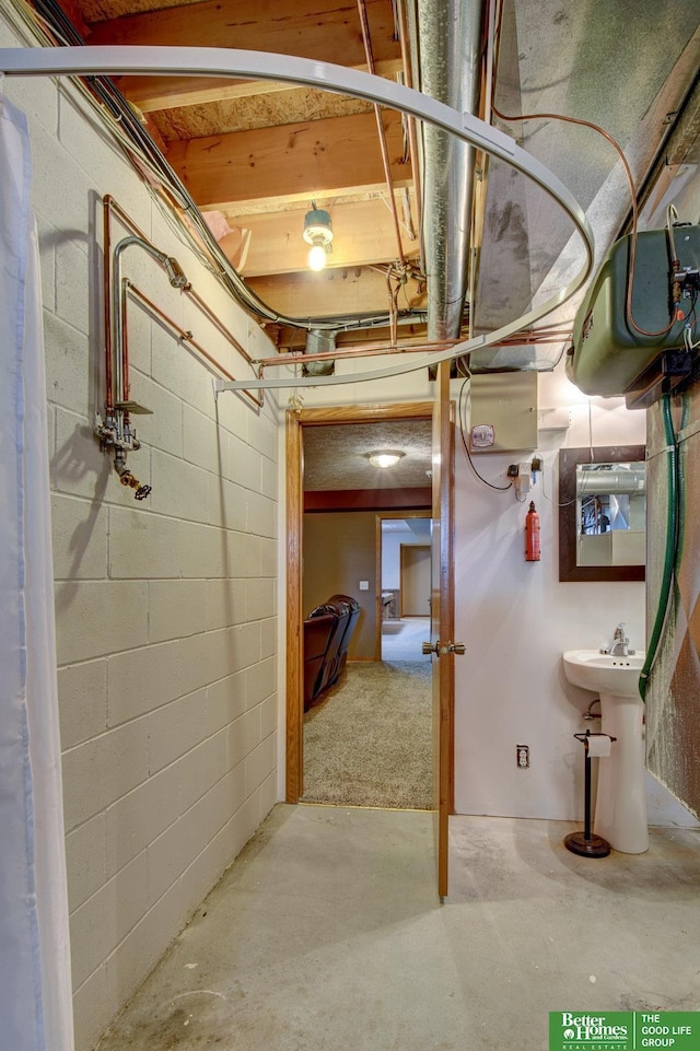 21900 Angus Rd, Gretna, NE 68028 - unfinished basement with a sink and concrete block wall