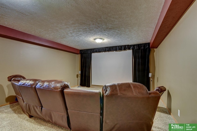 21900 Angus Rd, Gretna, NE 68028 - carpeted cinema room featuring a textured ceiling and baseboards