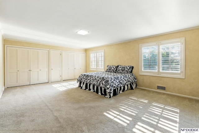 1705 N 102nd St, Omaha, NE 68114 - bedroom with crown molding, multiple windows, carpet, and multiple closets