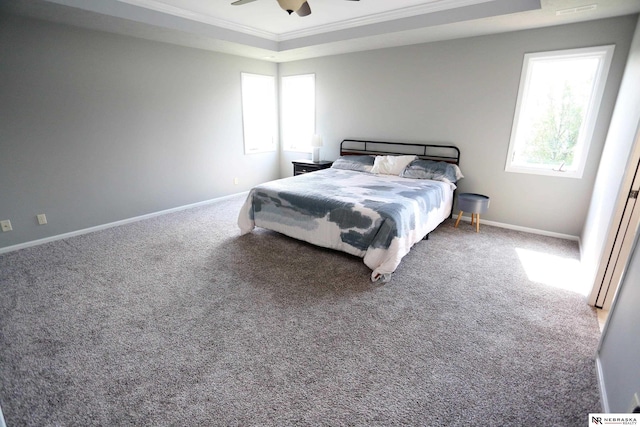 11915 S 53rd St, Papillion, NE 68133 - bedroom featuring ornamental molding, carpet, a tray ceiling, and a ceiling fan
