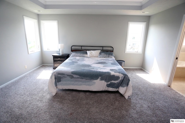 11915 S 53rd St, Papillion, NE 68133 - carpeted bedroom with crown molding and a tray ceiling
