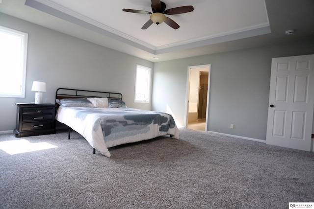 11915 S 53rd St, Papillion, NE 68133 - bedroom with a tray ceiling, crown molding, carpet, a ceiling fan, and connected bathroom