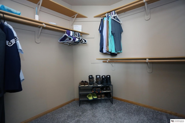11915 S 53rd St, Papillion, NE 68133 - walk in closet with carpet flooring