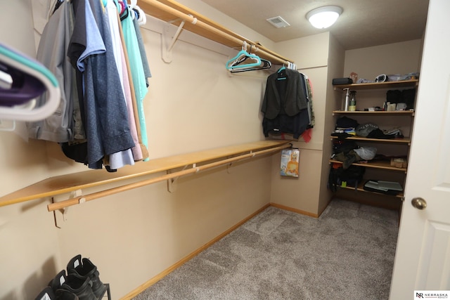 11915 S 53rd St, Papillion, NE 68133 - spacious closet with carpet