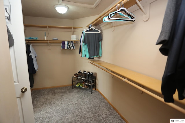 11915 S 53rd St, Papillion, NE 68133 - spacious closet featuring carpet flooring