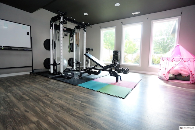 11915 S 53rd St, Papillion, NE 68133 - workout room with wood finished floors and plenty of natural light