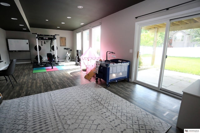 11915 S 53rd St, Papillion, NE 68133 - workout room with wood finished floors and recessed lighting