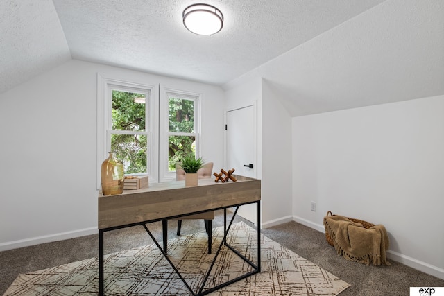 3279 Hascall St, Omaha, NE 68105 - carpeted office space featuring lofted ceiling and a textured ceiling