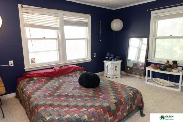 503 E 12th St, York, NE 68467 - carpeted bedroom featuring multiple windows and crown molding