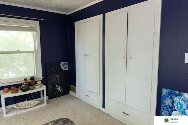 503 E 12th St, York, NE 68467 - bedroom with multiple windows, carpet floors, crown molding, and a textured ceiling