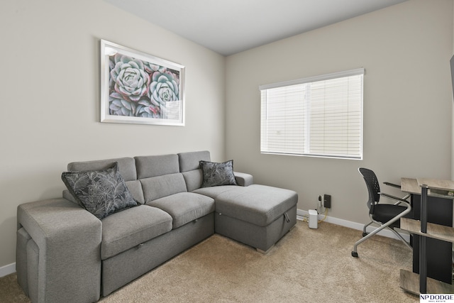 5003 N 180th Ave, Elkhorn, NE 68022 - office with light colored carpet
