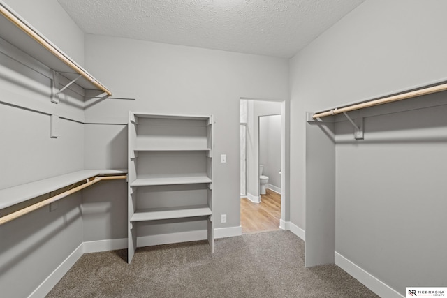 7530 Augustine Ave, Lincoln, NE 68516 - walk in closet with carpet floors
