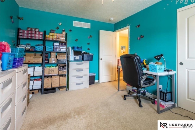 16228 Virginia St, Omaha, NE 68136 - office space with carpet flooring and a textured ceiling