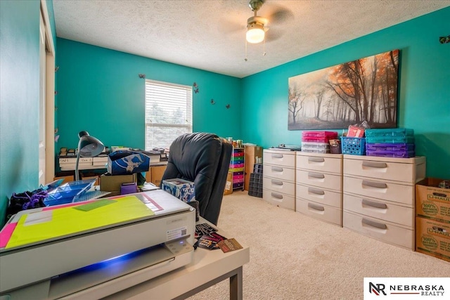 16228 Virginia St, Omaha, NE 68136 - home office with a textured ceiling and carpet floors