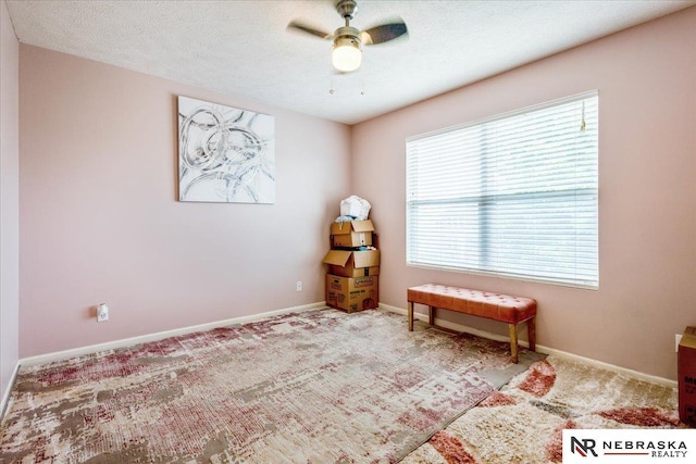 16228 Virginia St, Omaha, NE 68136 - living area with ceiling fan, healthy amount of natural light, and carpet flooring