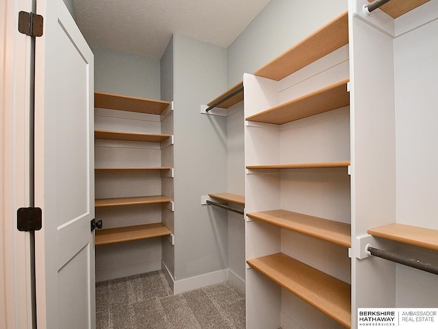 10309 S 102nd St, Papillion, NE 68046 - walk in closet with carpet flooring