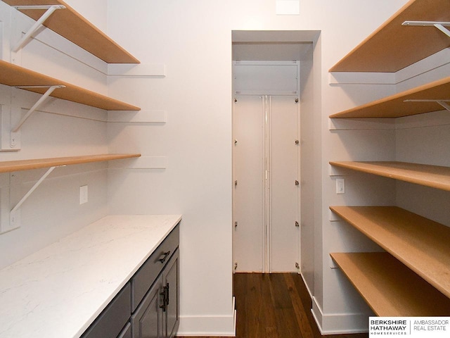 10309 S 102nd St, Papillion, NE 68046 - view of pantry