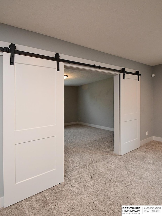 10309 S 102nd St, Papillion, NE 68046 - below grade area with a barn door and carpet floors