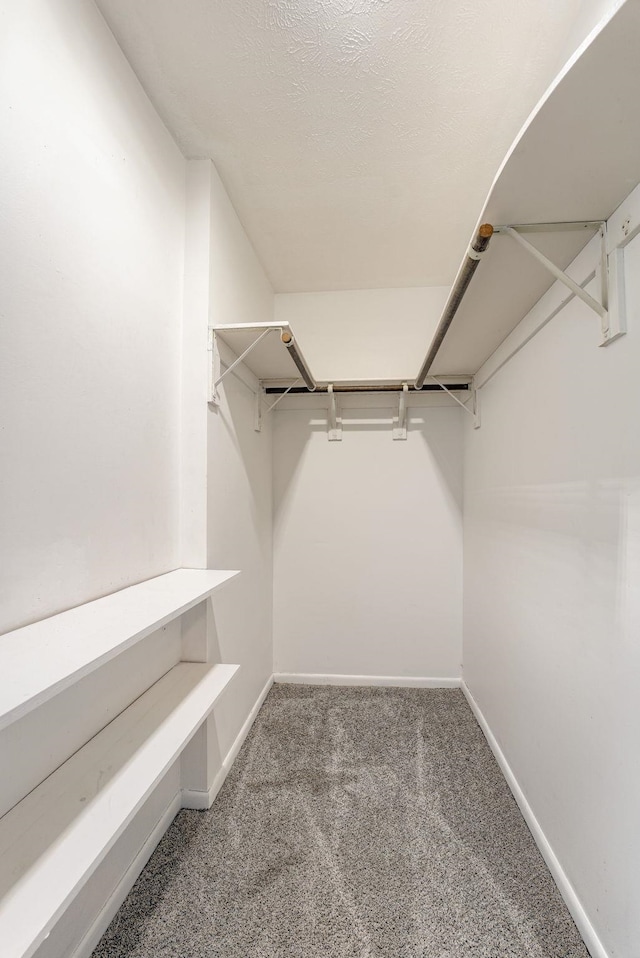 2811 S 36th St, Omaha, NE 68105 - walk in closet with carpet flooring