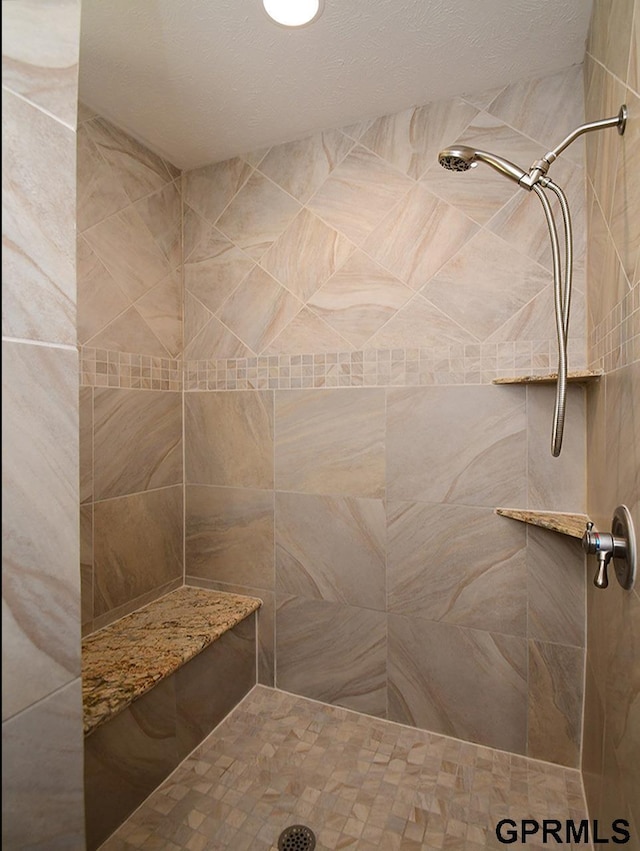 1526 Provencal Cir, Yutan, NE 68073 - full bath with a tile shower