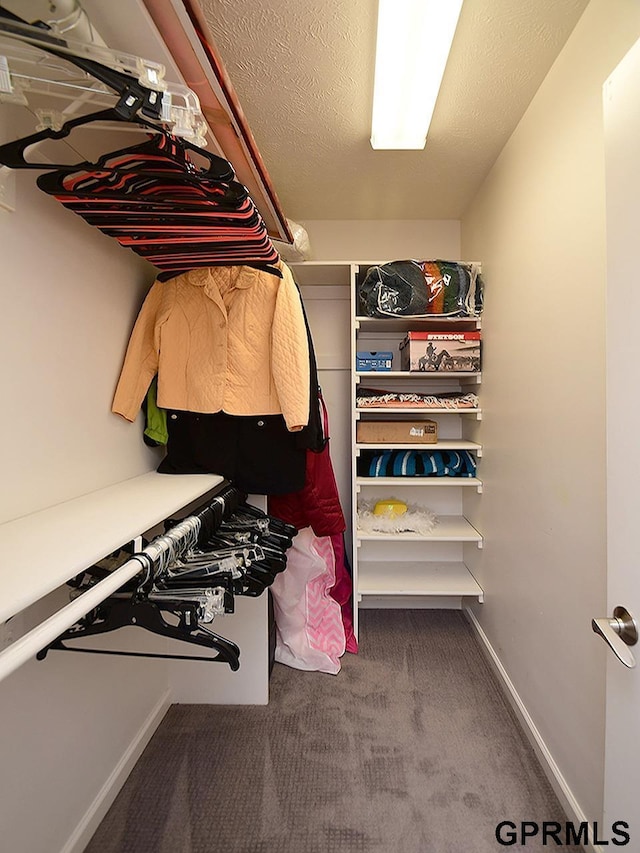 1526 Provencal Cir, Yutan, NE 68073 - spacious closet with carpet floors