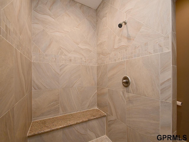 1526 Provencal Cir, Yutan, NE 68073 - full bath with a tile shower