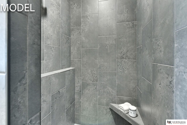 12386 Fenwick St, Papillion, NE 68046 - bathroom view