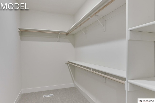 12386 Fenwick St, Papillion, NE 68046 - view of walk in closet